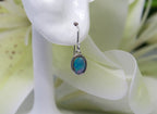 Sequin Earrings