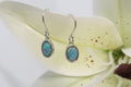 Sequin Earrings