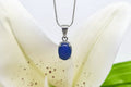 Lightning Ridge Necklace